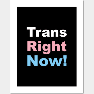 Trans Right Now! Transgender Rights Posters and Art